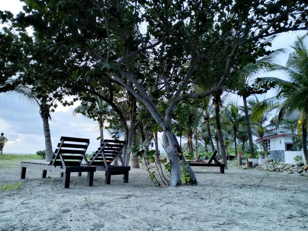 Casa Palma Beach House Brisas de Zicatela Dış mekan fotoğraf