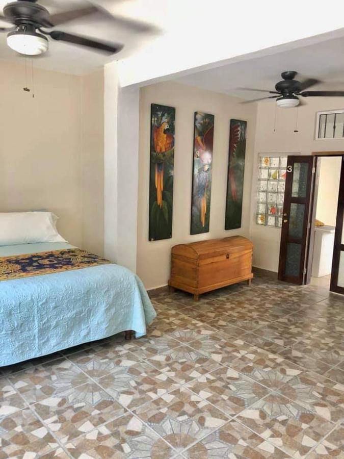 Casa Palma Beach House Brisas de Zicatela Oda fotoğraf